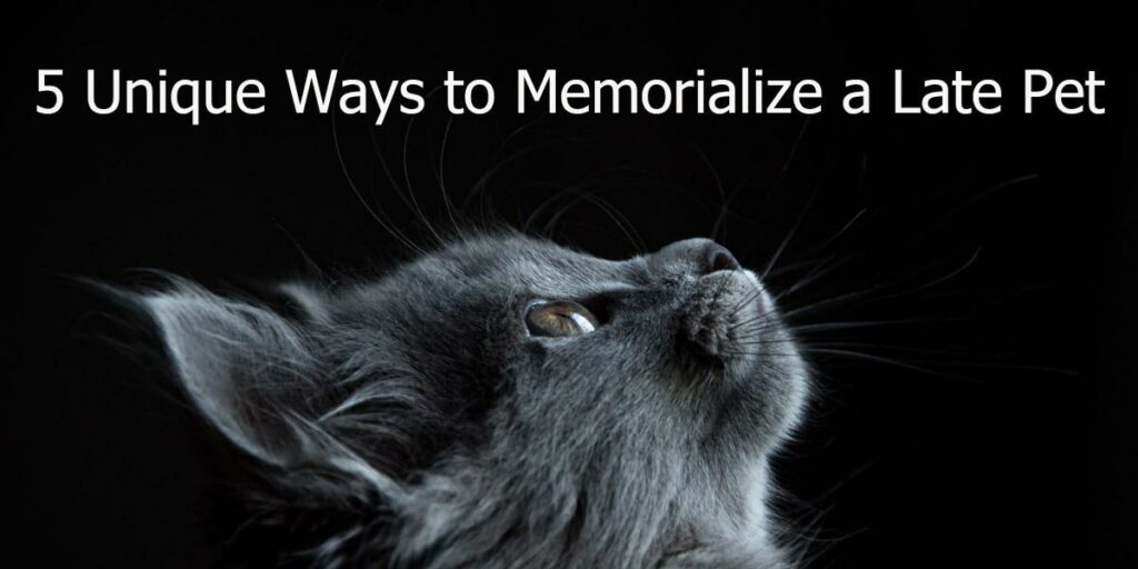 Ways to Memorialize a Pet