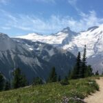 scattering ashes at a national park